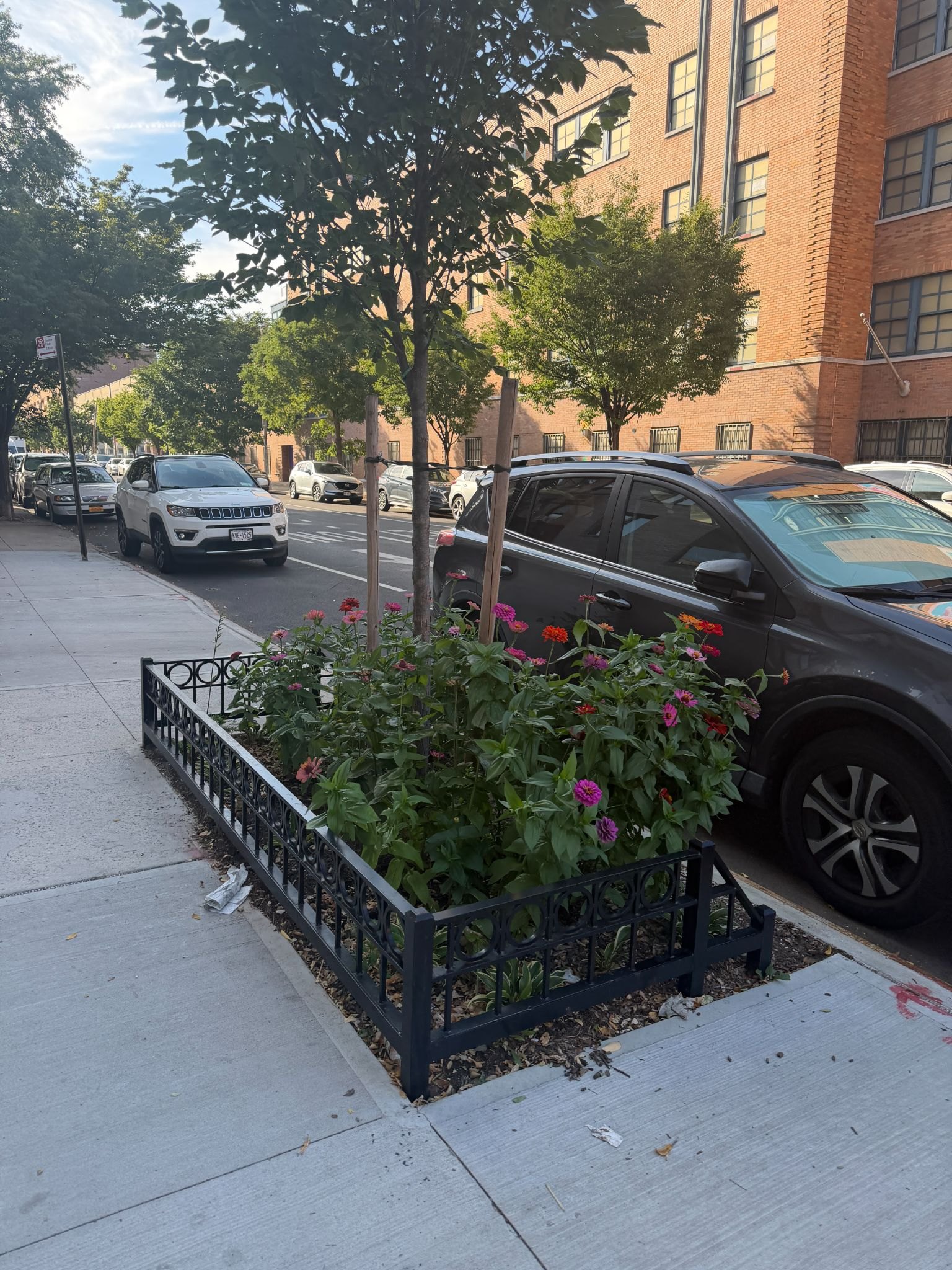 A tree bed with a black circle-and-pickets guard, planted with zinnias.